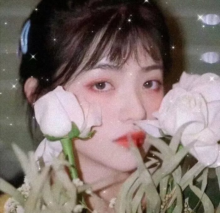 狐狸送葡萄